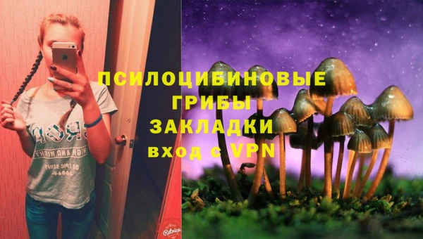 метадон Гусь-Хрустальный