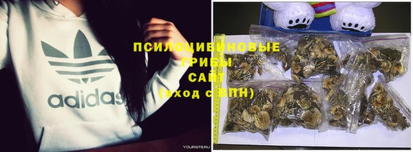 метадон Гусь-Хрустальный
