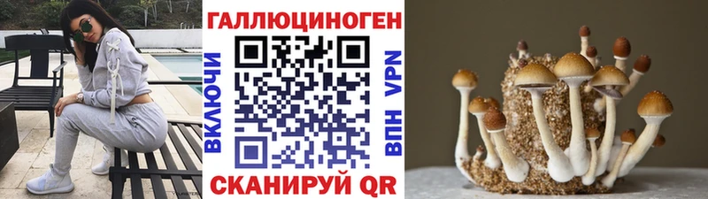 Псилоцибиновые грибы мицелий Артём