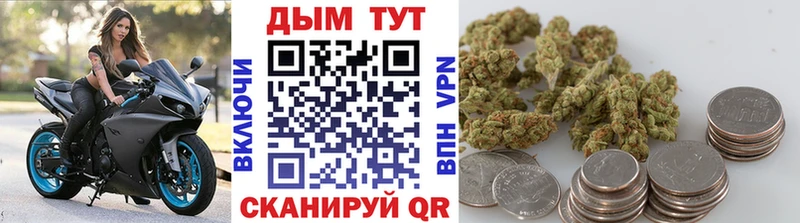 Каннабис тримм  даркнет сайт  Артём 